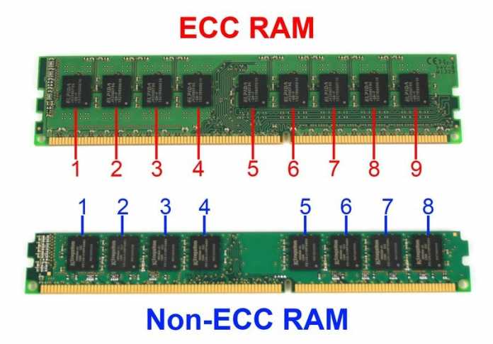 Made in ecc где это